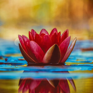 FREE DOWNLOAD - The Yuen Method Explained