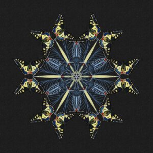 Welcome to the Yuen Methode